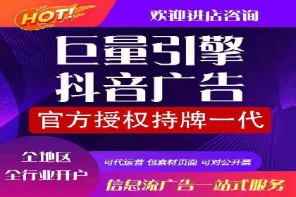 百度竞价排名实战：某电商平台的成功之路